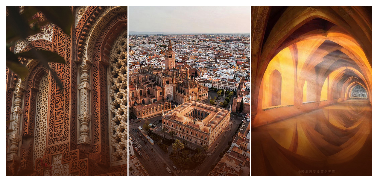 ���ٵ羺�������