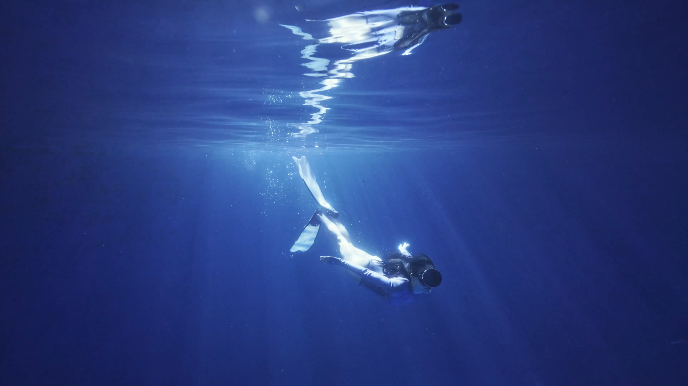 ���ٵ羺�������