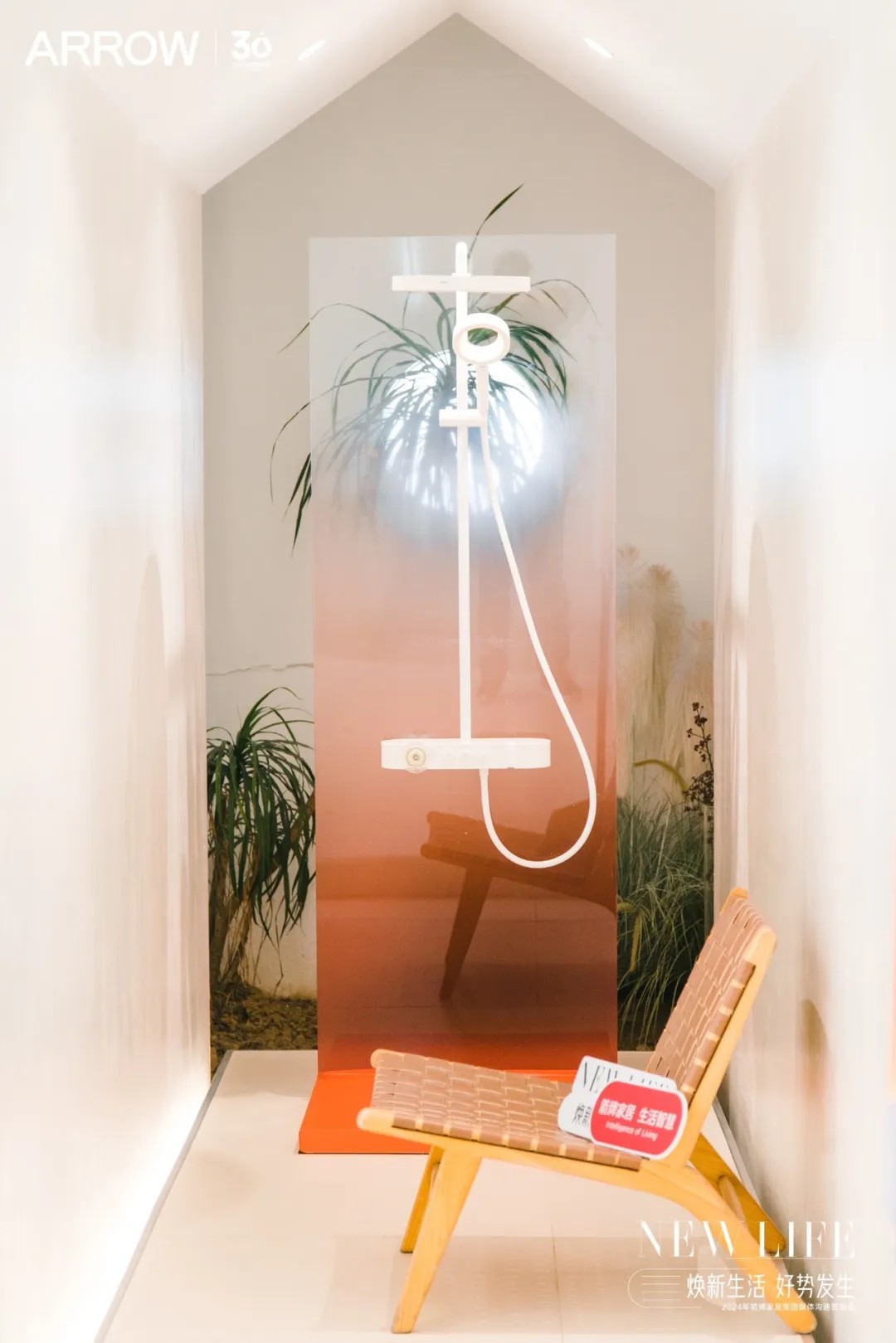 ���ٵ羺�������