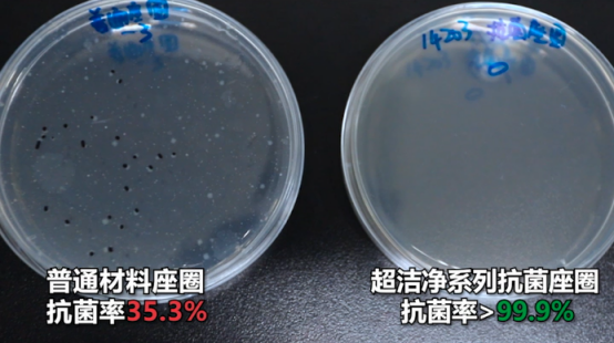 ���ٵ羺�������