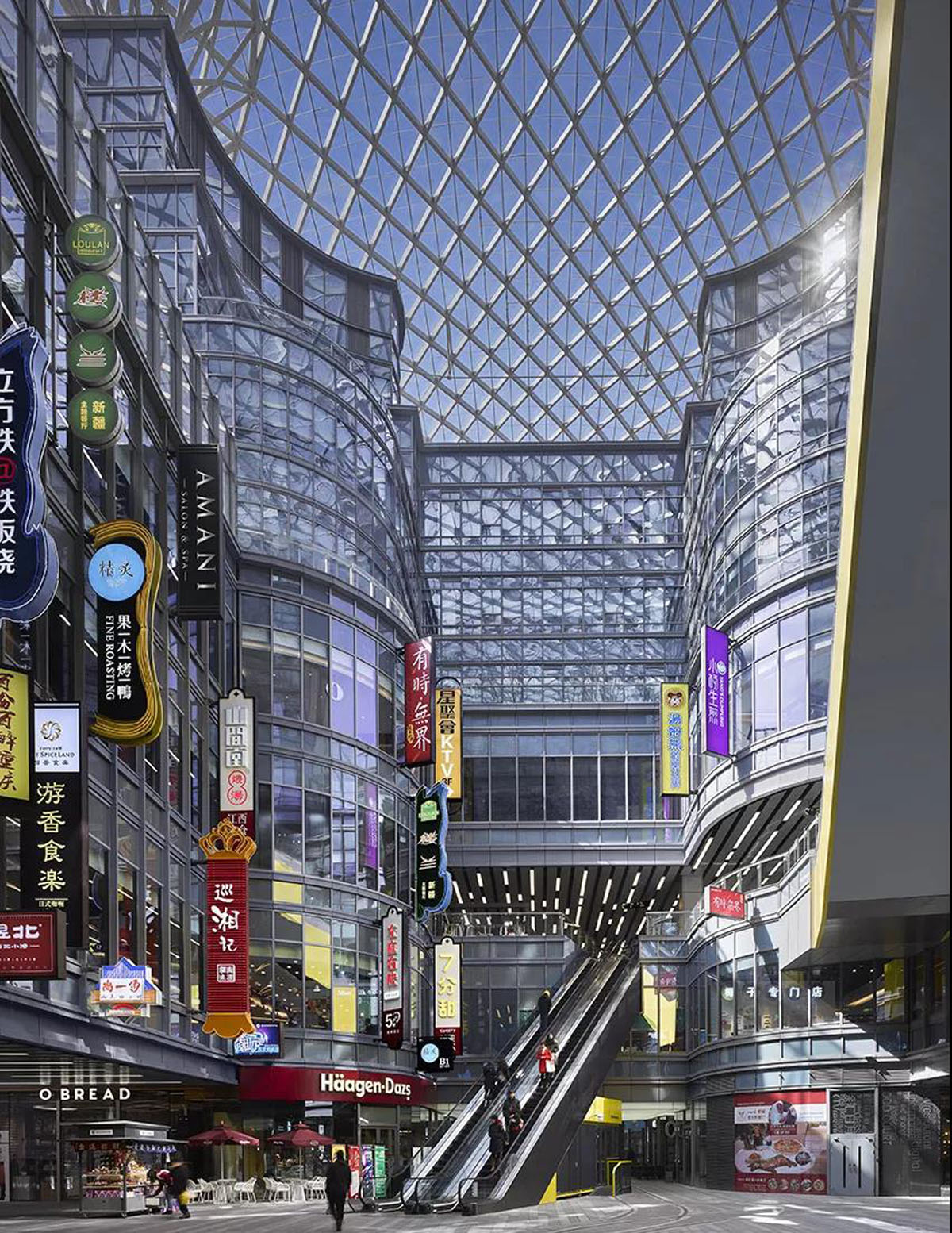 ���ٵ羺�������