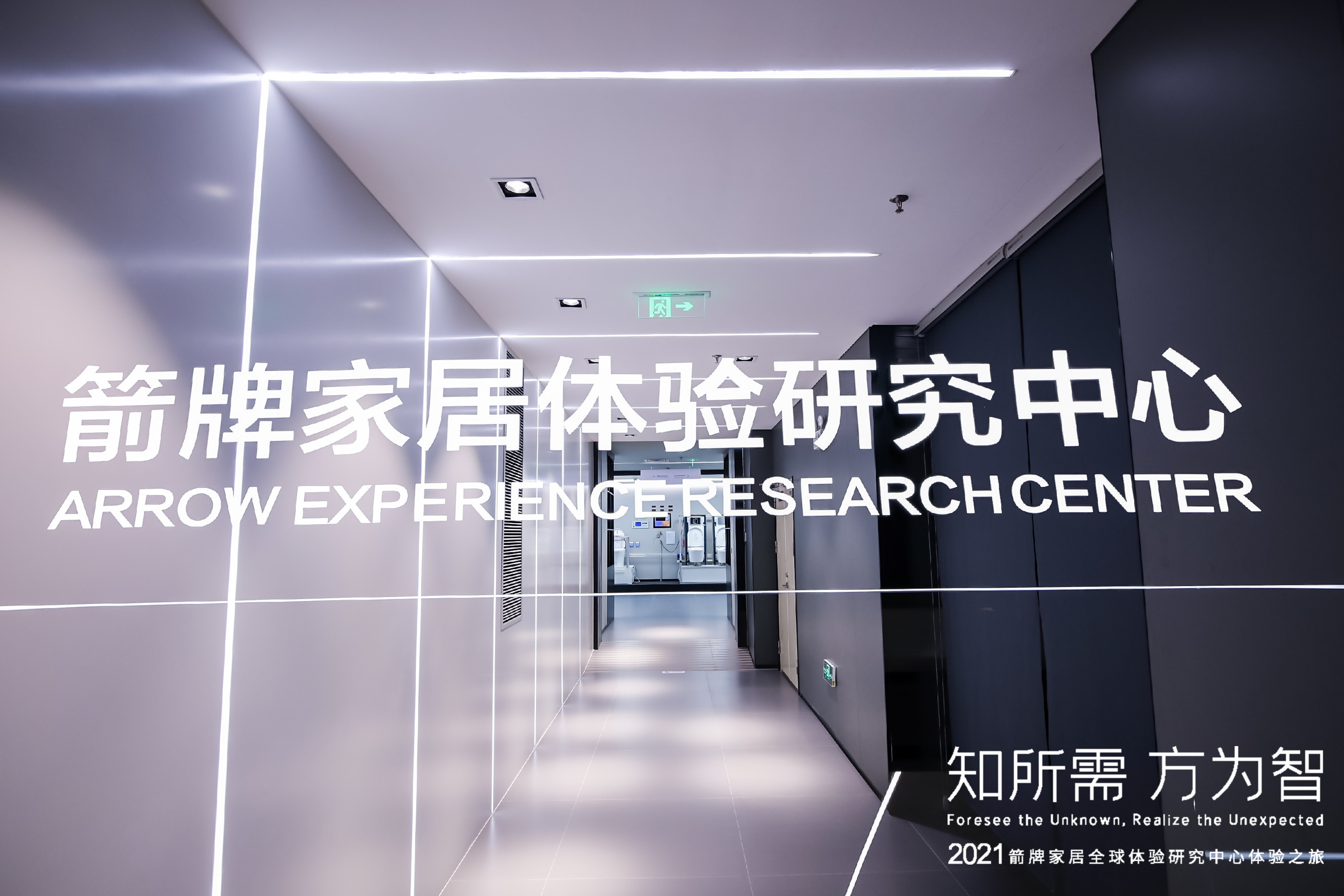 ���ٵ羺�������