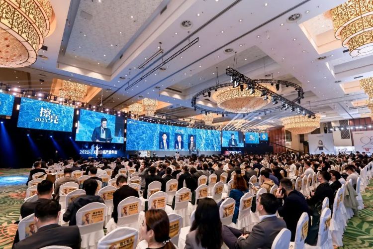 ���ٵ羺�������