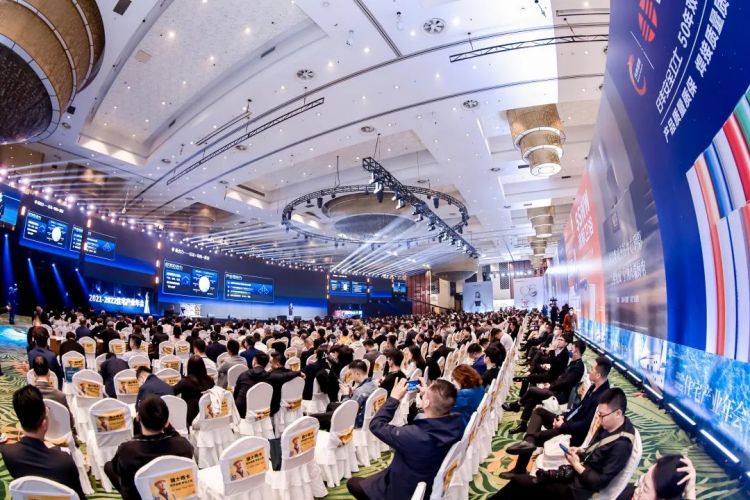 ���ٵ羺�������