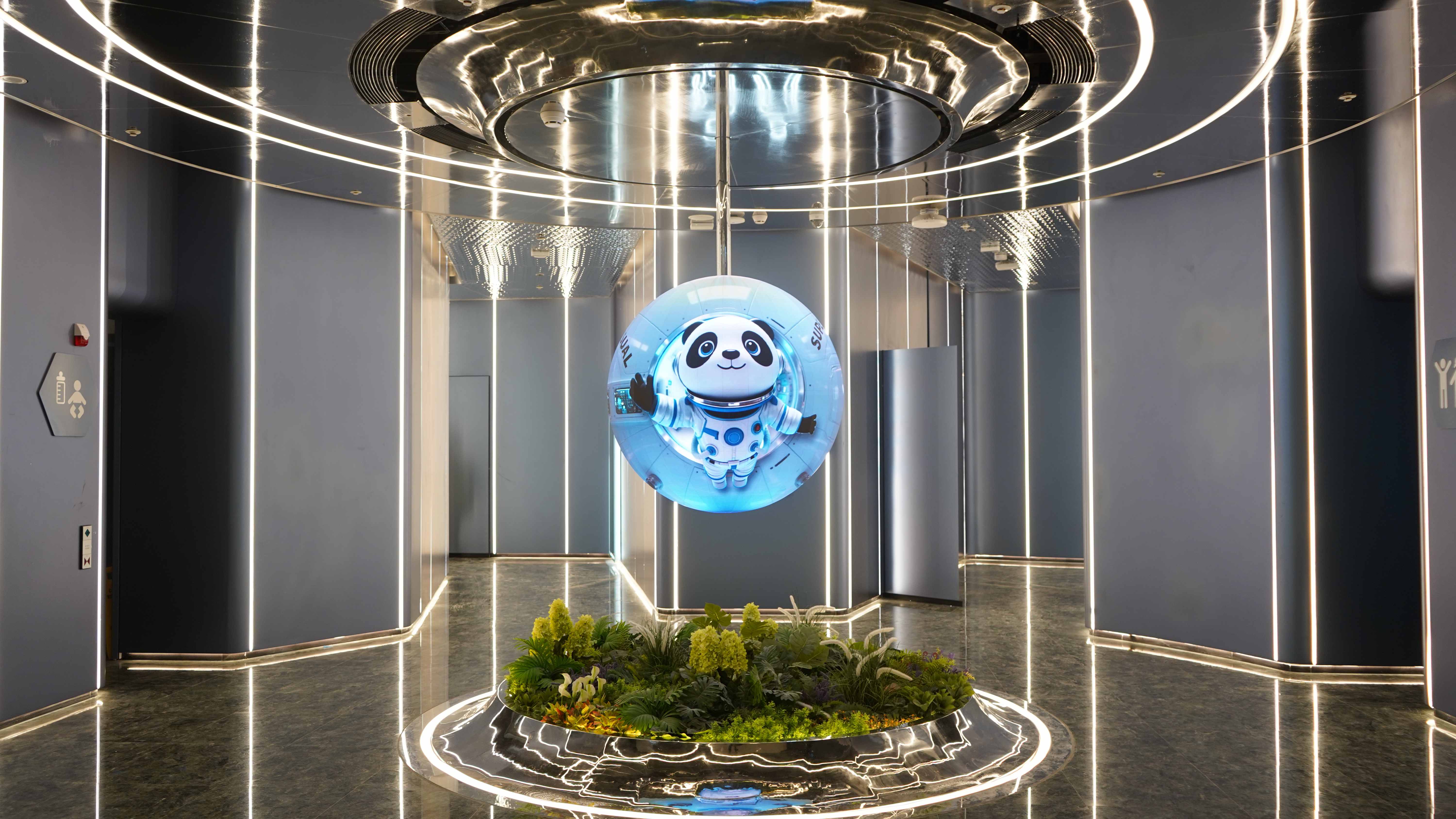 ���ٵ羺�������